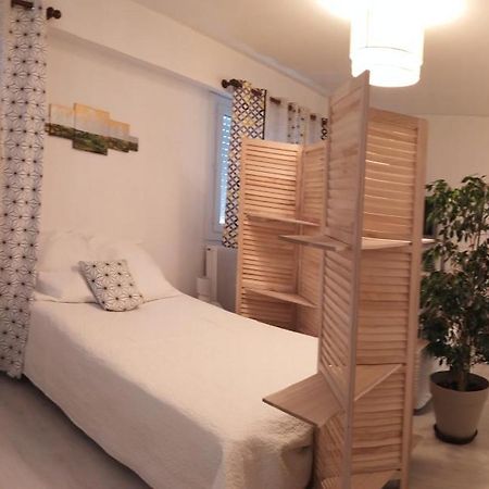 Grand Studio, Super Equipe, 2 Pas Du Centre-Ville "Clos-Du-Boulanger" - Parking Prive Монбельяр Экстерьер фото